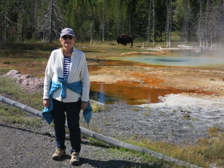 a roadside stop, Yellowstone N.P